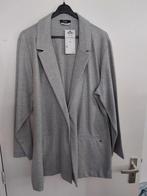 Nieuwe Frapp Blazer mt 54 met Zilverdetail was 99.95, Kleding | Dames, Frapp, Maat 46/48 (XL) of groter, Nieuw, Ophalen of Verzenden