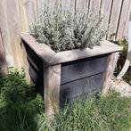 Houten bloembak, Ophalen, Rechthoekig, Hout