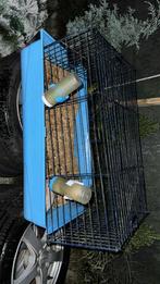 grote kooi in goede staat, moet alleen schoongemaakt worden, Kooi, Zo goed als nieuw, 75 tot 110 cm, Ophalen