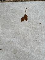 Keramische tegels 60x120cm - Nieuw!, Tuin en Terras, Tegels en Klinkers, Ophalen, Keramiek, Nieuw, 10 m² of meer