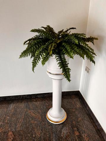 Zuil met plant compleet . beschikbaar voor biedingen