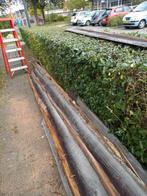Gratis hout ophalen ong 15 vierkante meter, Doe-het-zelf en Verbouw, Hout en Planken, Ophalen, Gebruikt, 25 tot 50 mm, 250 tot 300 cm