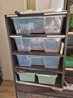 Betonplex reptielen rack met 3 lades, Dieren en Toebehoren, Ophalen