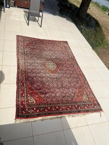 Groot Authentiek Perzisch Tapijt beschikbaar voor biedingen