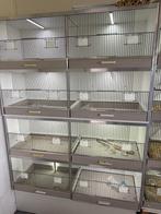 Gehu kooien, Dieren en Toebehoren, Ophalen, Zo goed als nieuw, Kunststof, Vogelkooi