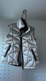 Zilver Bodywarmer xl Falcon 42/44, Kleding | Dames, Bodywarmers, Ophalen of Verzenden, Zo goed als nieuw, Maat 42/44 (L)