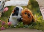 Cavia dekbed, Ophalen of Verzenden, Nieuw, Tweepersoons, Dekbedovertrek
