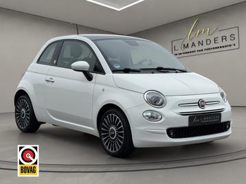 Fiat 500 1.0 Hybrid Launch Edition 2020 WIT | Panoramadak |  beschikbaar voor biedingen