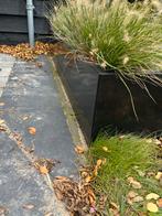 2 stuks zwarte metalen plantenbak rechthoekig, Tuin en Terras, Bloembakken en Plantenbakken, Ophalen, Gebruikt, 100 cm of meer