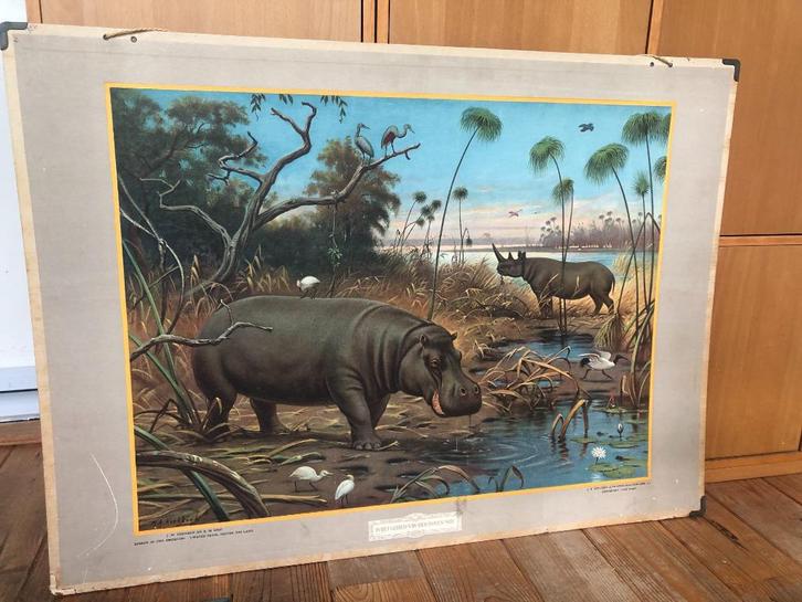 schoolplaat "In het gebied van den boven Nijl", Antiek en Kunst, Antiek | Schoolplaten, Natuur en Biologie, Ophalen of Verzenden