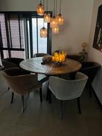 6 stuks pracht eethoekstoelen van Rofra Home, Huis en Inrichting, Ophalen, Hout, Gebruikt, Overige kleuren