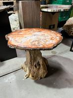 Exlusieve bijzet tafel van versteend hout uit madagaskar, Ophalen of Verzenden