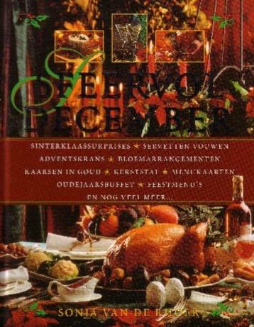 Sfeervol december - Sonja van de Rhoer"" beschikbaar voor biedingen