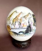 struisvogelei, Verzamelen, Dierenverzamelingen, Ophalen of Verzenden, Gebruikt, Vogel, Overige typen