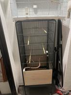Twee vogels kooi, Ophalen of Verzenden, Zo goed als nieuw, Metaal, Vogelkooi