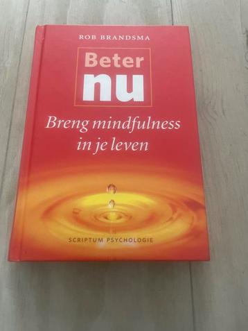 Beter nu - Mindfulness in je leven beschikbaar voor biedingen