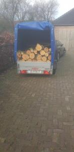 Gratis bomen omzagen, kappen & boomstronk (NB, ZH, NH), Garantie, Tuinontwerp