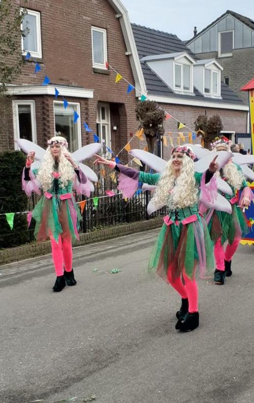 Loopgroep carnaval, Kleding | Dames, Carnavalskleding en Feestkleding, Zo goed als nieuw, Kleding, Carnaval, Ophalen of Verzenden