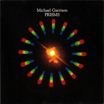 LP MICHAEL GARRISON - PRISMS ( Electronic Music ) beschikbaar voor biedingen