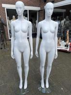 CATWALK MANNEQUINS ETALAGEPOP PASPOP ETALAGEFIGUUR !!!!!!!!!, Kleding | Dames, Overige Dameskleding, Zo goed als nieuw, Verzenden