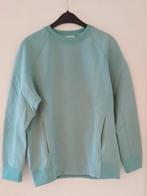 Acne Studios lichtgroene sweater - maat small - oversized, Kleding | Dames, Ophalen of Verzenden, Zo goed als nieuw, Maat 36 (S)