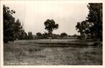Weerselo - Groeten uit, Verzamelen, Ophalen of Verzenden, 1940 tot 1960, Ongelopen, Overijssel