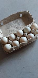 Eenden eieren voor consumptie, Diversen, Levensmiddelen, Ophalen