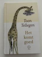 Literaire romans Het komt goed, Boeken, Ophalen of Verzenden, Zo goed als nieuw, Toon Tellegen