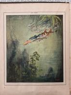 Antiek Boek Mijn Aquarium - A.F.J. Portielje, Antiek en Kunst, Ophalen