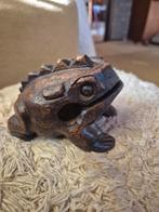 Percussie frog guiro, Ophalen of Verzenden, Zo goed als nieuw