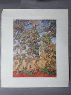 St. Paul's Hospital Van Gogh prent. Afm 46x54 cm, Ophalen