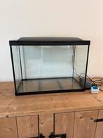 Superfish 100 (95L) met accessories, Dieren en Toebehoren, Ophalen, Zo goed als nieuw, Leeg aquarium