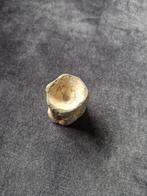 Fossiele Wervel, Verzamelen, Mineralen en Fossielen, Ophalen of Verzenden, Fossiel