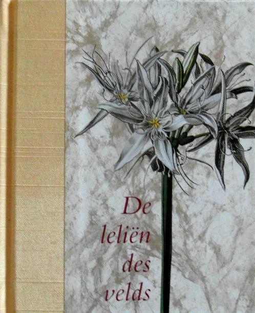 DE LELIËN DES VELDS, Schatten uit de Vaticaanse Bibliotheek, Boeken, Kunst en Cultuur | Dans en Theater, Zo goed als nieuw, Toneel