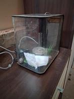 Aquarium, Dieren en Toebehoren, Ophalen, Gebruikt, Leeg aquarium