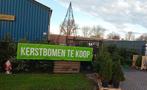 vers gezaagd:kerstbomen,easyfix kerstboomstandaard,Nordmann,, Ophalen, Nieuw