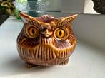 Waanzinnig uiltje met prachtige ogen, Ophalen of Verzenden