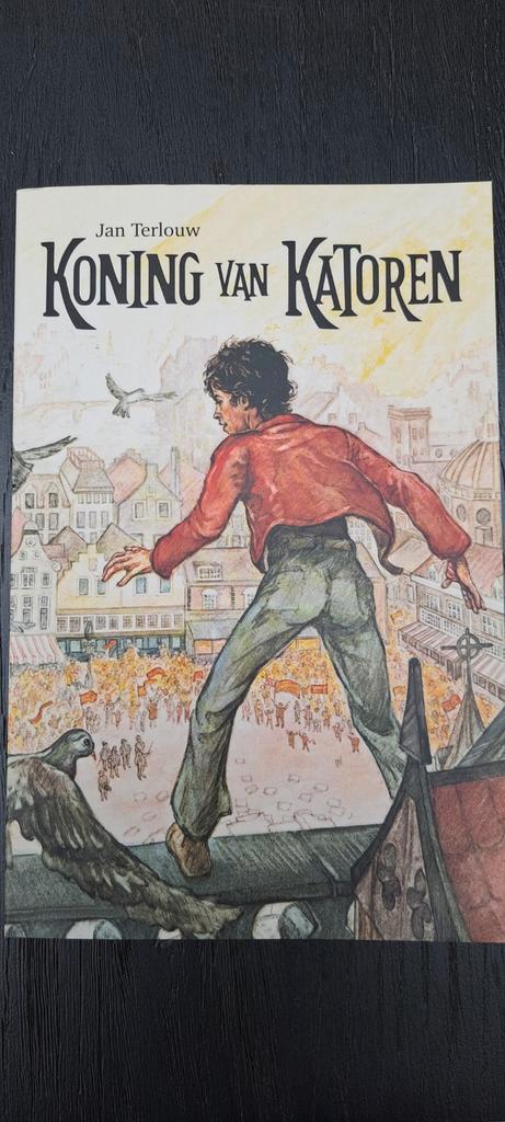 Koning van Katoren - Jan Terlouw, Boeken, Romans, Nieuw, Nederland, Ophalen