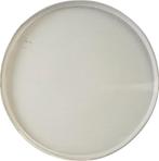 Bord | 26,5 cm | Steengrijs Van 8 Voor 4, Overige materialen, Nieuw, Ophalen of Verzenden, Bord(en)