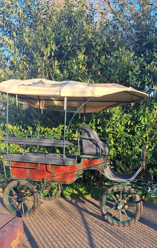 NIEUW   Ponywagens en  Family wagen..., Dieren en Toebehoren, Rijtuigen en Koetsen, Nieuw, Overige typen, Pony