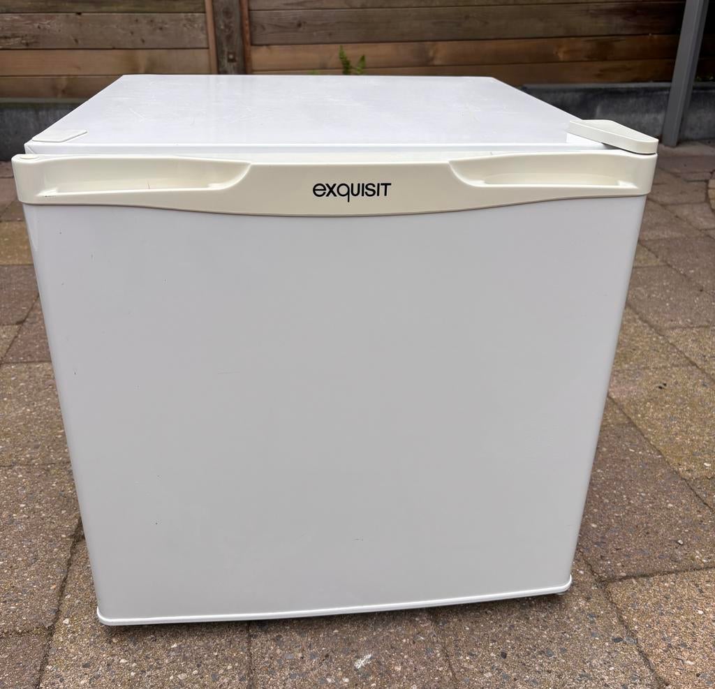 Mini koelkast / campingkoelkastje, Witgoed en Apparatuur, Koelkasten en IJskasten, Ophalen, Minder dan 85 cm, 45 tot 60 cm, Met vriesvak