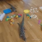 Teju, Dieren en Toebehoren, Reptielen en Amfibieën, Slang, Met terrarium, 0 tot 2 jaar