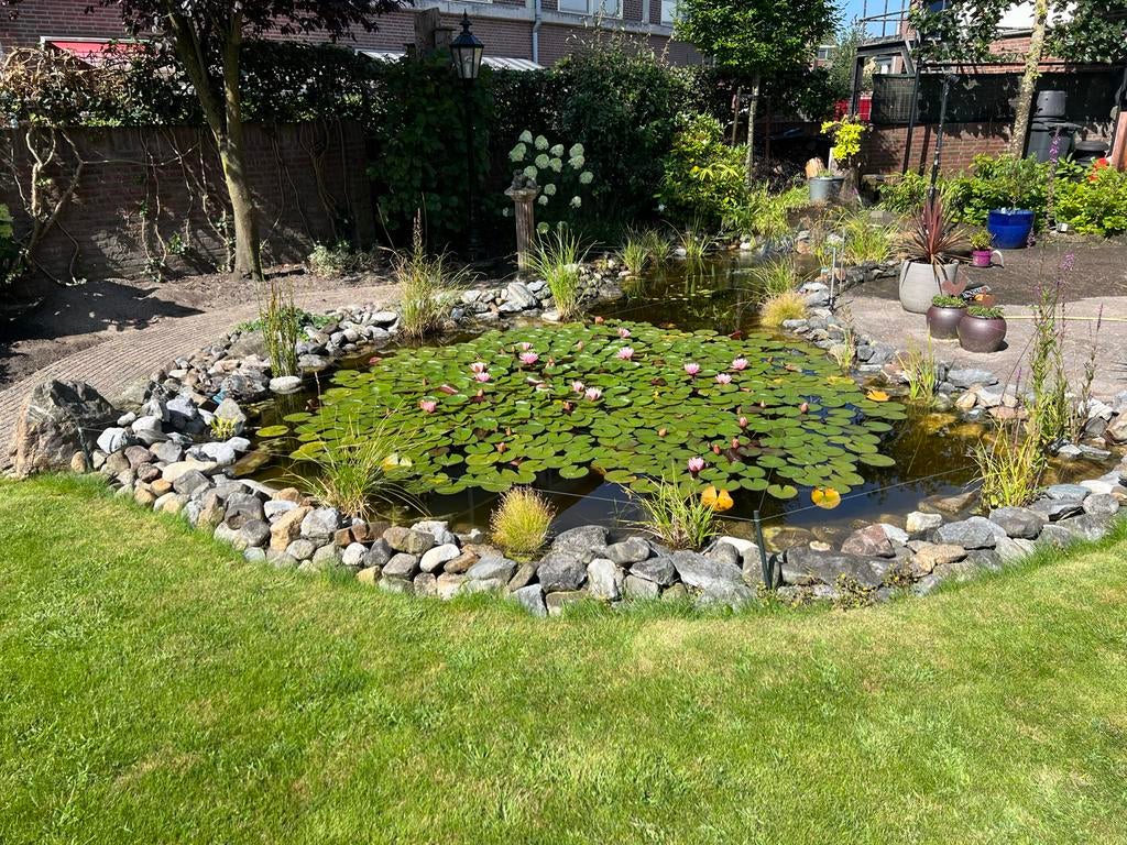 Gratis afhalen Vijverstenen / Maaskeien, Tuin en Terras, Overige materialen, Gebruikt, Ophalen of Verzenden, Kei