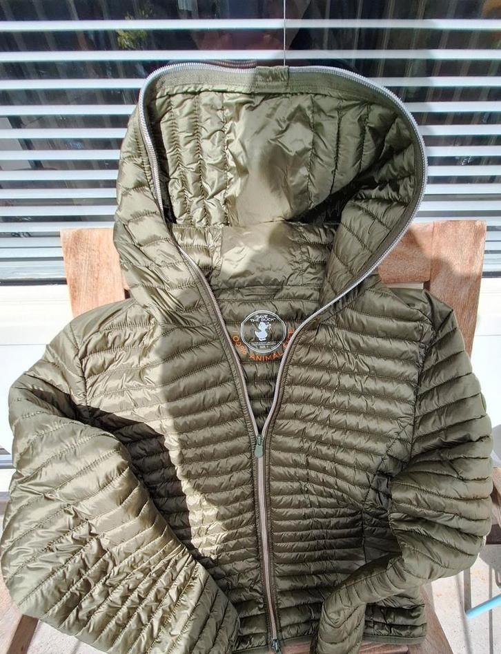 Save The Duck jack groen, maat 5 dames, Kleding | Dames, Jassen | Zomer, Zo goed als nieuw, Groen, Ophalen of Verzenden