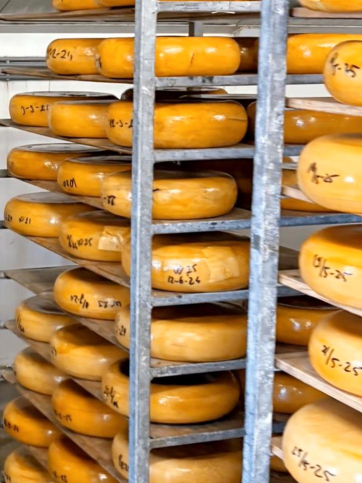 Kaas, Diversen, Levensmiddelen, Ophalen of Verzenden