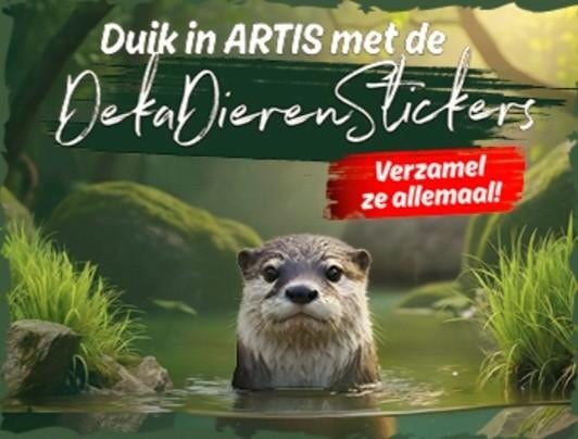 DE LAATSTE DEKAMARKT ARTIS-PLAATJES GEZOCHT, ZAANDAM-OOST, Dekamarkt, Ophalen