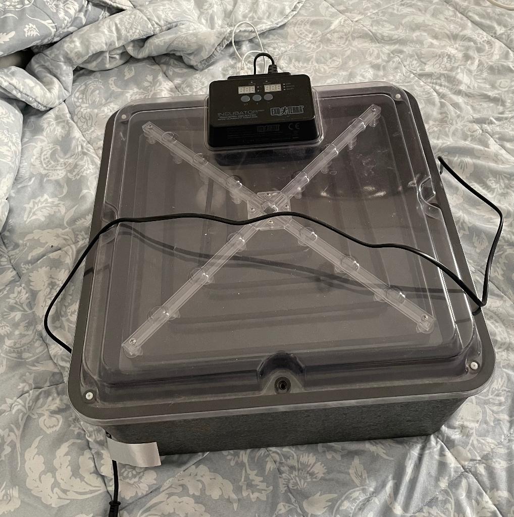 Incubator, Ophalen, Zo goed als nieuw, Broedstoof of Broedmachine
