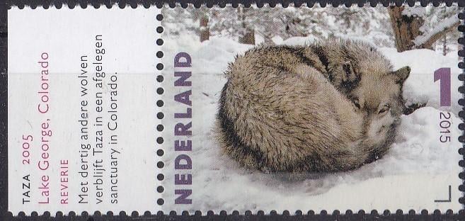 Charlotte Dumas – Tasa, wolf – MNH – NVPH 3333, Verzenden, Na 1940, Postfris
