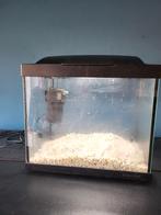 Aquarium klein, Dieren en Toebehoren, Ophalen of Verzenden, Zo goed als nieuw