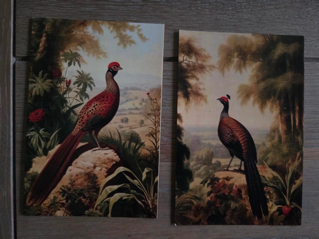 VOGELS 8, Ophalen, 1980 tot heden, Vogel